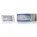 Vitrex Chiralen monofilamentti sininen/musta