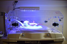 Leddy bloo mini -sinivalohoitolaite